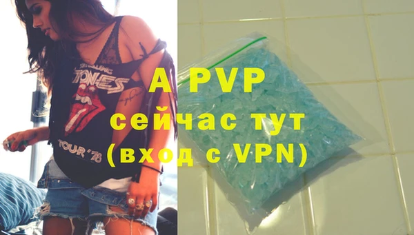 ГАЛЛЮЦИНОГЕННЫЕ ГРИБЫ Каменногорск