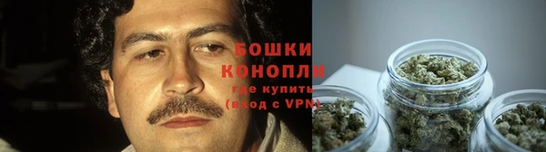 дживик Каменка