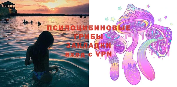 дживик Каменка