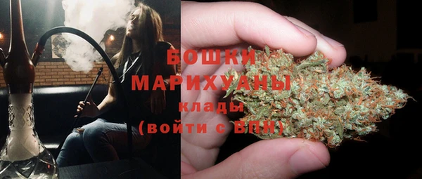 дживик Каменка